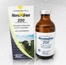 NORANDREN 200mg   (NANDROLONA) DECANOATO DE NANDROLONA / 50ml  | ESTEROIDES VETERINARIOS BROVEL | MAYOREO