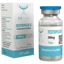 TESTOPLEX-E-300 - Enantato 300 mg  / Frasco 10 ml | XT LABS