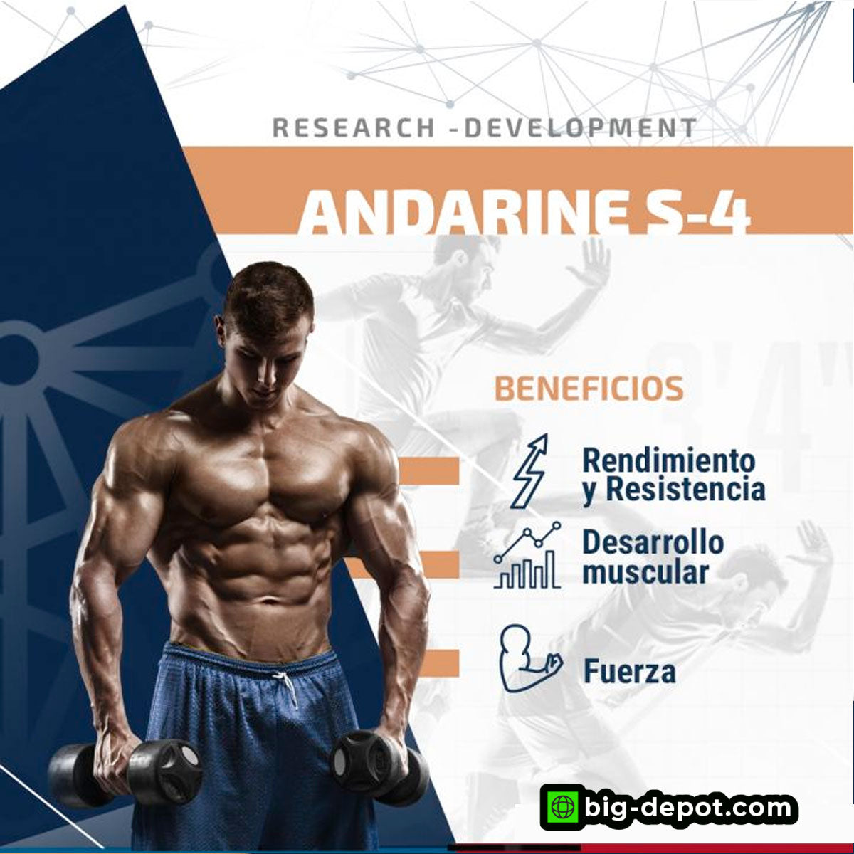 Andarine (S-4) 50mg / 30ml | SARMS SYNERLAB - SARM