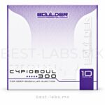Decaboul 300 mg Decanoato + Fenilpropionato + Undecanoato de Nandrolona Boulder | 10 ml