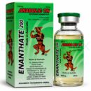 Enantato 200 mg / 20 ml – Enantato De Testosterona Performance Enhancement Compound | Canguro VET®
