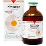 KYNOSELEN NUTRIMENTO ANABOLICO NO ESTEROIDEO | LABORATORIOS VETERINARIOS VETOQUINOL | MAYOREO