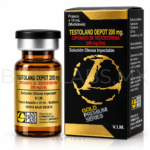 Cipionato de Testosterona 200 mg/ml – Frasco 10 mL | Landerlan Gold