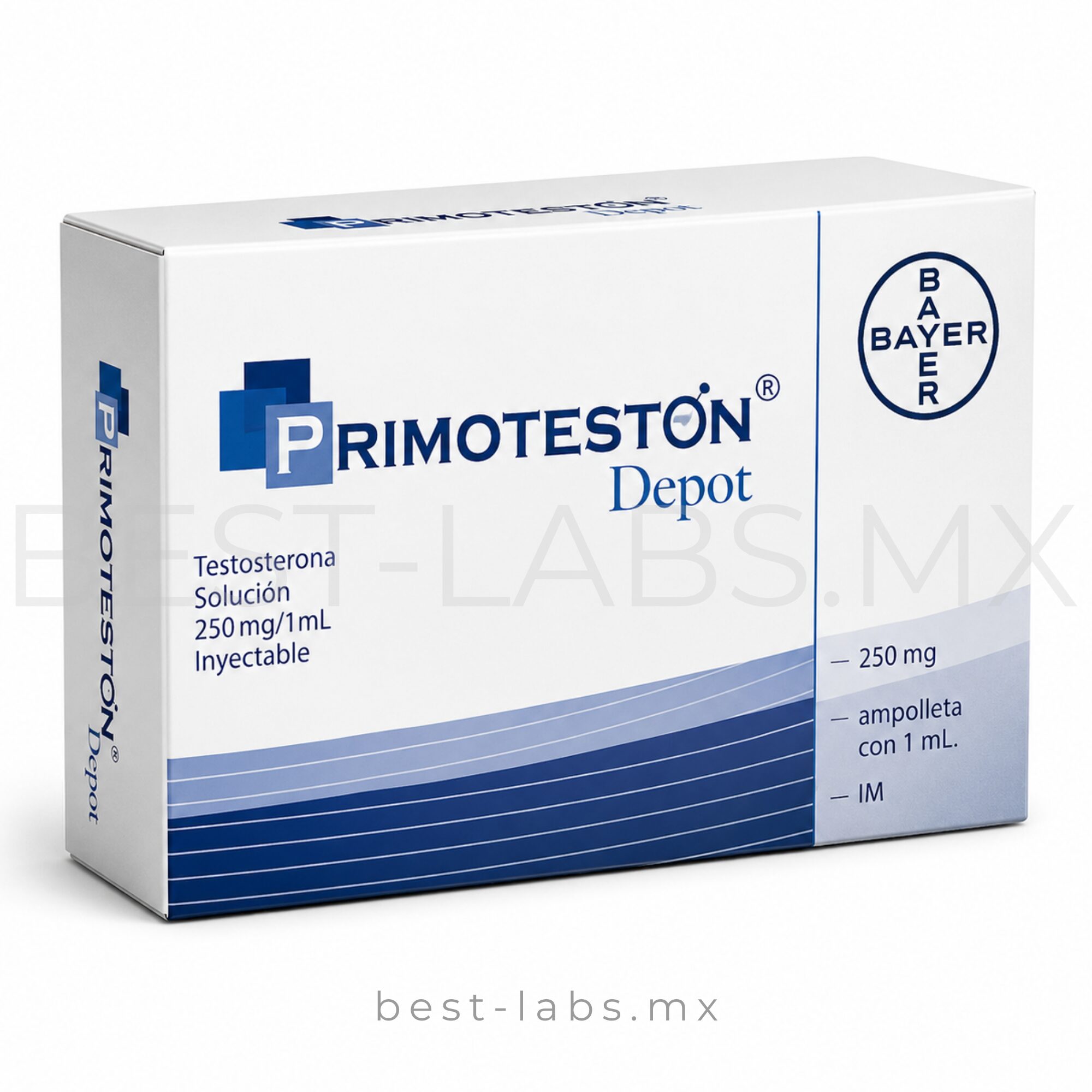 PRIMOTESTON DEPOT 250 - Testosterona 250 mg / 1 ampolleta de 1 ml / BAYER #B8F0